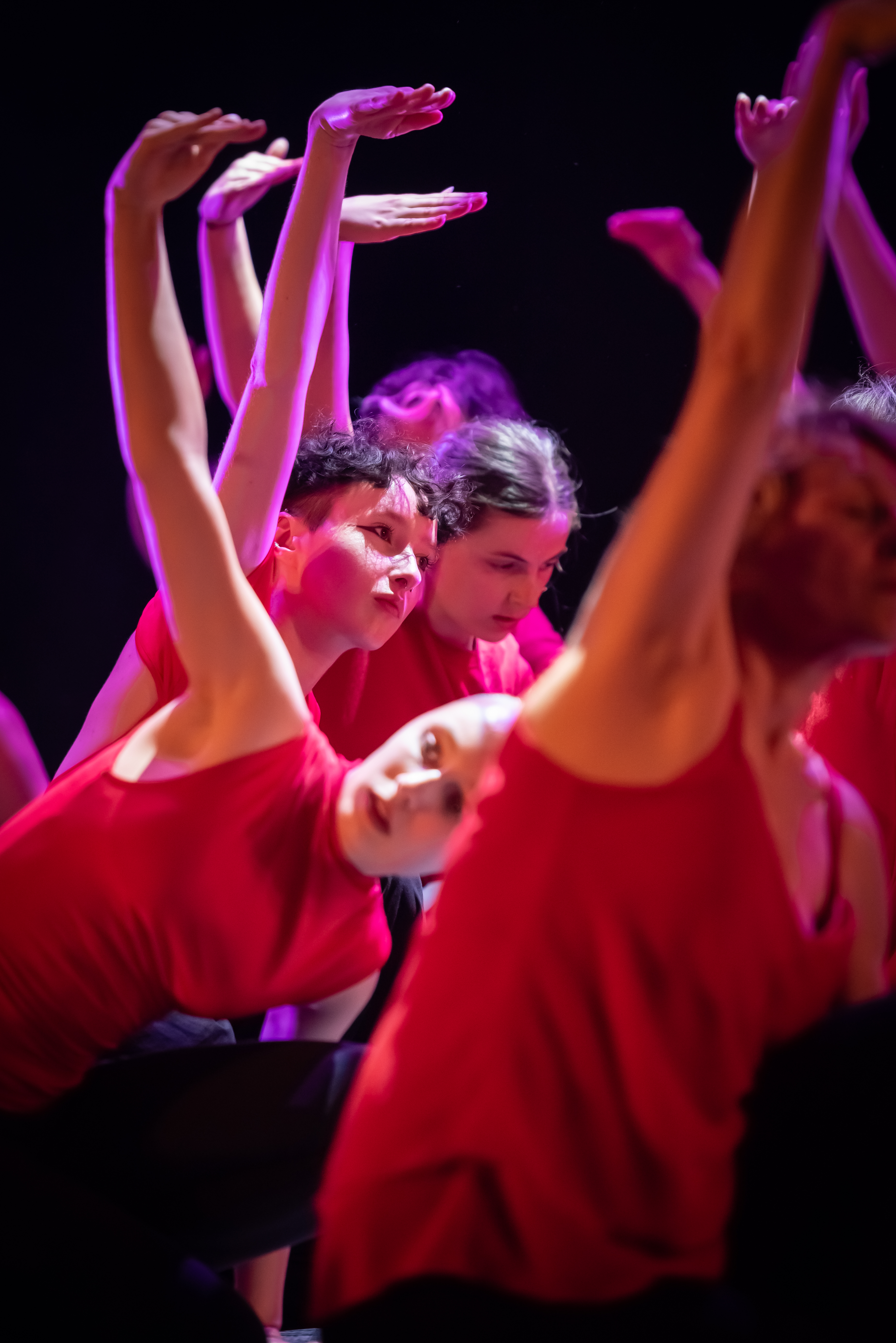 chorea corps danse moderne spectacle 2024